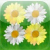 a Daisy Reversi !