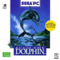 Ecco the Dolphin