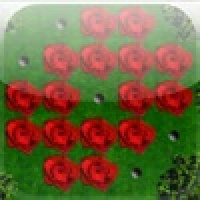 a Red Rose Peg !