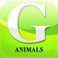 GTI:Animals