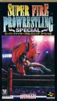 Super Fire ProWrestling Special