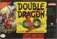 Double Dragon V: The Shadow Falls