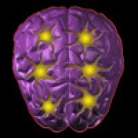 Synapse Party Game