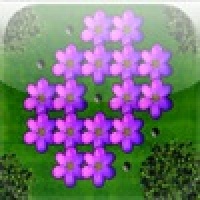 a Flowers Peg !