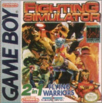 Fighting Simulator: 2-in-1 Flying Warriors