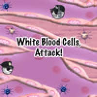 White Blood Cells, Attack!