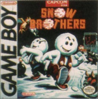 Snow Brothers