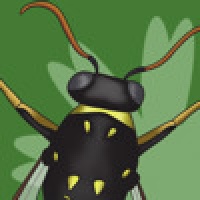 Bugs Away!
