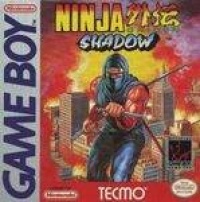 Ninja Gaiden Shadow