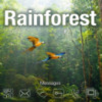 Rainforest