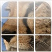 Slide Me:Animals