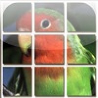 Slide Me:Birds