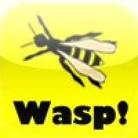 Wasp