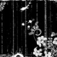 Black and White Theme