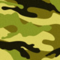 Camo Theme