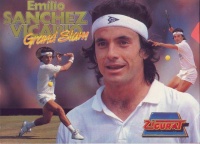 Emilio Sanchez Vicario Grand Slam