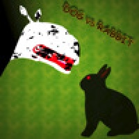 DOG VS RABBIT