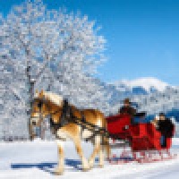 Winter Sleigh Theme