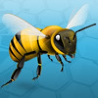 Crazy Bee2