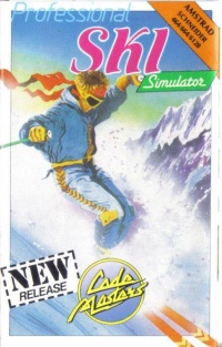 Professional Ski Simulator