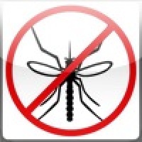 Stop Fly