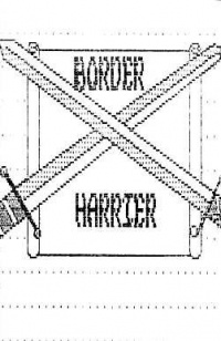 Border Harrier