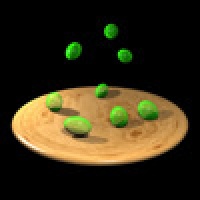Grapes on a Plate