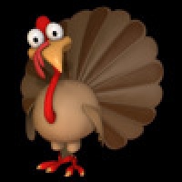Happy Thanksgiving Match