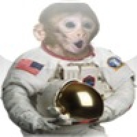 JoJoChimp