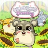 Mini Hamsters Breeding