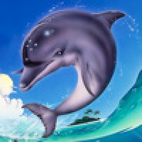 Ecco the Dolphin