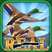 Real Bird Hunting Challenge