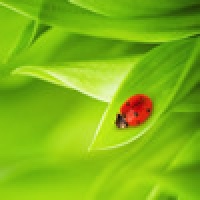Biology App
