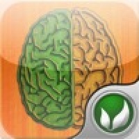 DualBrain - Level Up Your Brain!