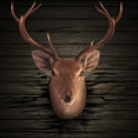 Ace Deer Hunter