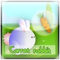 Carrot rabbit