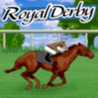 Royal Derby- Spin3