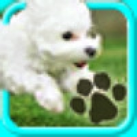 PicHunt Pets Premium Edition