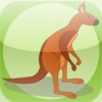 Lost Kangaroo - Lost at the Airport