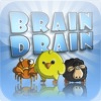 Brain Drain Puzzle