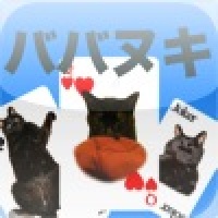 Old Maid:Cat