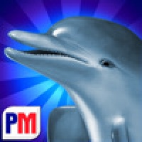 Dolphins Dice Slots