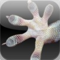 Gecko Slider Puzzle