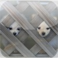 Cute Dog Puzzle Vol.1