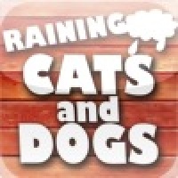 Raining Cats & Dogs