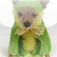 Frog Dog Slide Puzzle