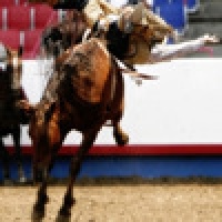 Rodeo Cowboy Slide Puzzle