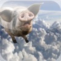 Flying Pig Slide Puzzle