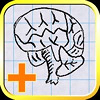 Brain App: Math