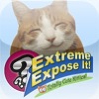 Extreme Expose It!  Totally Cute Kitties Edition!